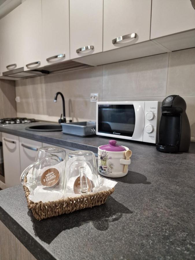 Vic Apartament Drobeta Turnu Severin Esterno foto