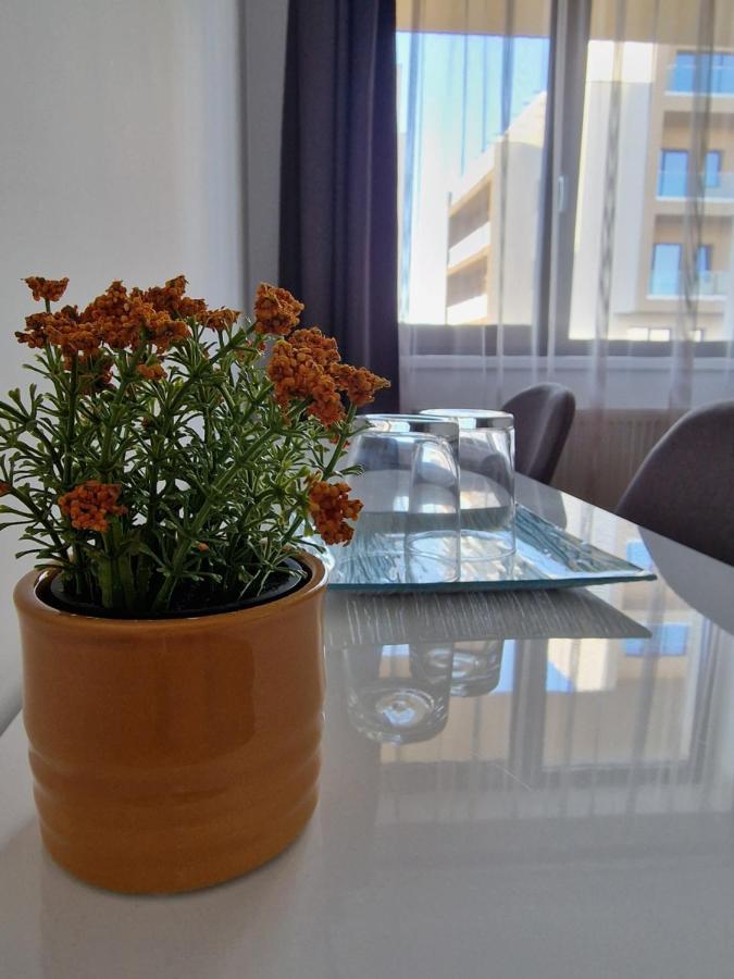 Vic Apartament Drobeta Turnu Severin Esterno foto