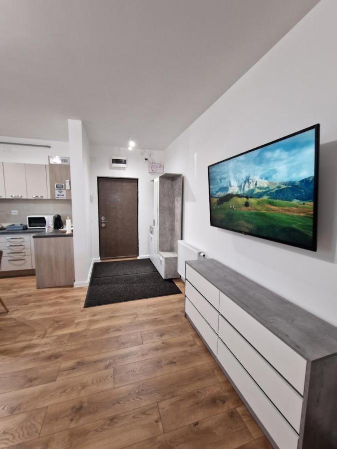Vic Apartament Drobeta Turnu Severin Esterno foto